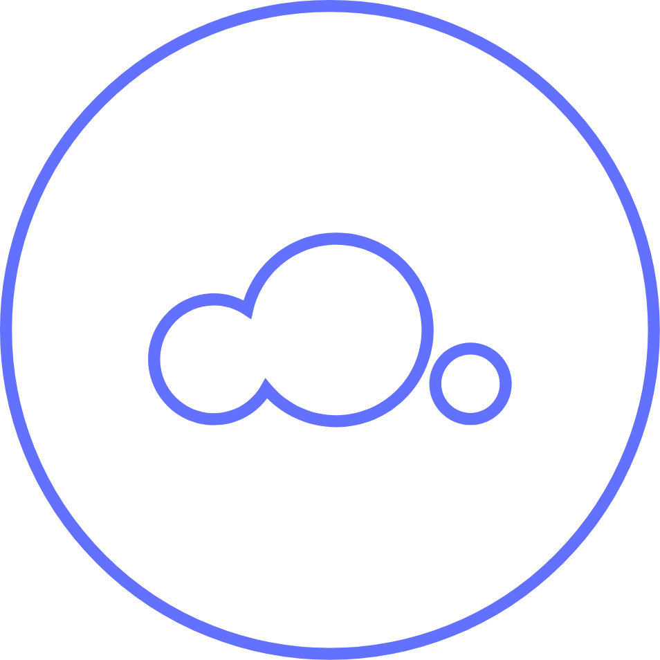 Custom Application & Low-Code Development